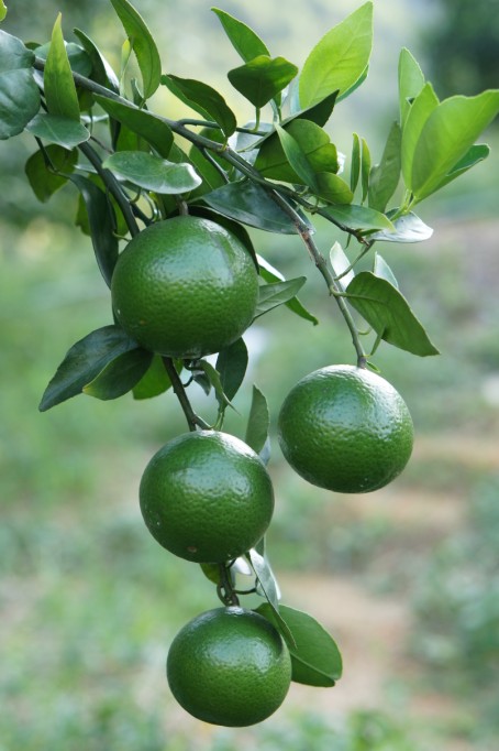 QQ؈D20131018174448.jpg